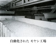 自動化されたモヤシ工場