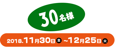 30名様 2018.11月30日（金）～12月25日（火）